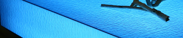 BLUE DESIGN Concept